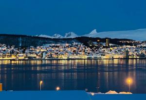 特罗姆瑟Polar Arctic View - Free Parking!的城市美景,晚上有海港