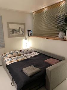 科林基拉Saunallinen huoneisto Kolilla的一间卧室设有一张大床和一个窗户。