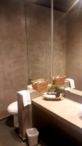 圣佩德罗·德·阿塔卡马Hoteles Pueblo de Tierra的浴室设有卫生间,并在柜台上设有带篮子的盥洗盆。