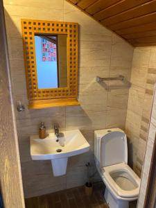艾福雷诺德卢西恩别墅酒店的一间带水槽和卫生间的小浴室