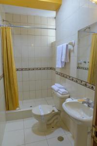 普诺Hostel Sol Andina Inn的浴室配有卫生间、盥洗盆和淋浴。