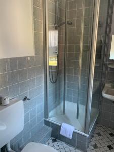 埃恩鲁赫Garni Hotel im Fachwerkhof的带淋浴、卫生间和盥洗盆的浴室