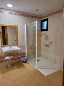普拉森西亚Hospedium Hotel Doña Mafalda de Castilla的带淋浴和盥洗盆的浴室