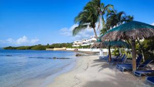 Dixon CoveLas Palmas - New Horizon的海滩上设有椅子和遮阳伞,棕榈树
