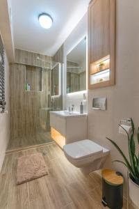 普雷代亚尔Pretoria Luxor apartment Predeal的浴室配有卫生间、淋浴和盥洗盆。