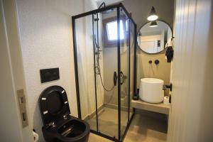 阿奇亚卡Alp Suites Mandalin的带淋浴、卫生间和镜子的浴室