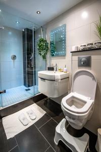 阿伯丁Jay's Apartment Aberdeen的浴室配有卫生间、盥洗盆和淋浴。
