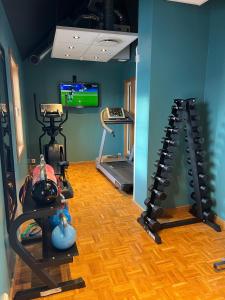 斯基腾奥拉夫农场北欧之选酒店的一间设有两个跑步机和电视的健身房