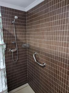 隆达Hotel El Tajo & SPA的浴室设有棕色瓷砖和淋浴。