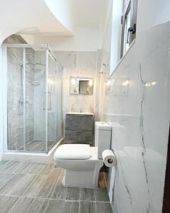 科孚镇Fay's Barbeque Garden-House的带淋浴和卫生间的白色浴室