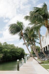 基韦斯特The Capitana Key West的两棵棕榈树,在河边的木板路上