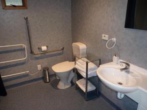 克伦威尔莱斯利住宿加早餐旅馆的一间带卫生间和水槽的浴室