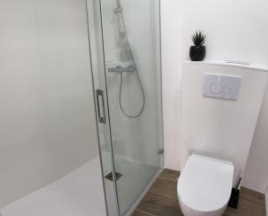 拉蒂尔巴勒Lodge LE CABANON accès direct plage !的带淋浴和卫生间的浴室