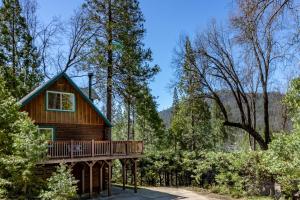 巴斯莱克Harris Lakeview Cabin的树林中的小木屋,带甲板