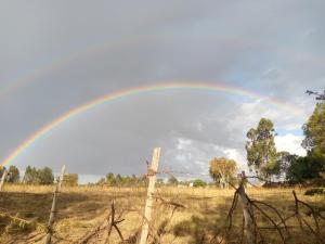 NyahururuSipili Village Residence的天上空的彩虹