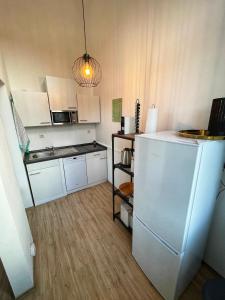 特里尔Ferienwohnung Zum Zollkran的一间带冰箱的小厨房
