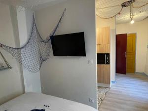 伊泽尔河畔的罗曼Ocean ROOM的墙上配有平面电视的房间