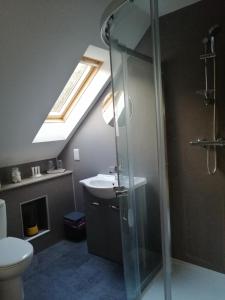伊文格瑞Corrie View的带淋浴、盥洗盆和天窗的浴室