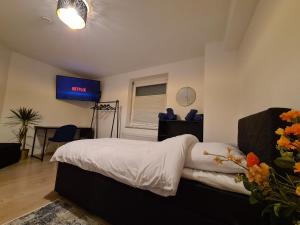 曼海姆Theox Apartment No 6 Royal Blue für 4 Personen的卧室配有一张床,墙上配有电视。