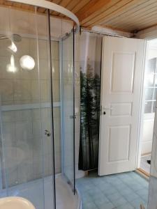 TaipalsaariHostel Mansikka的浴室里设有玻璃门淋浴
