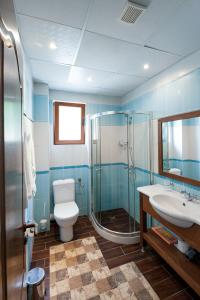 巴尔奇克瑟琳娜酒店的浴室配有卫生间、淋浴和盥洗盆。