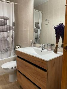 利亚沃尔西Apartaments Albiñana的一间带水槽、卫生间和淋浴的浴室