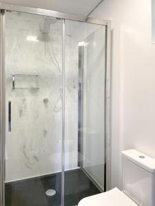 SiderópolisContainer na montanha的浴室里设有玻璃门淋浴