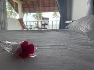 马拉维拉ISAMAR FRONT BEACH的床上塑料袋里的花