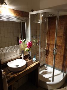 塞森Landhaus Zum alten Fritz的一间带水槽和淋浴的浴室