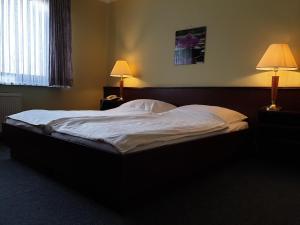 塞森Landhaus Zum alten Fritz的卧室内的一张大床,配有两盏灯
