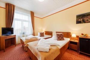 塔博尔塔博尔酒店的酒店客房设有两张床和电视。