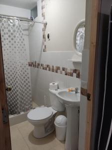 库斯科La casa de Chepita的浴室配有卫生间、盥洗盆和淋浴。