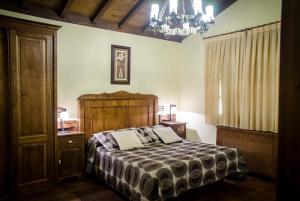 塔拉蒙迪Casas Rurales Taramundi Verde的一间卧室配有一张床和一个吊灯