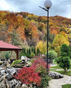 新帕扎尔Hotel RAS Pazarište的花园中的一个灯柱,有树木和秋叶