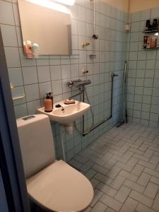 瓦尔考斯Citykoti的一间带卫生间和水槽的浴室
