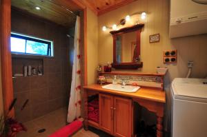 克伦威尔河石庄园旅馆的一间带水槽和淋浴的浴室