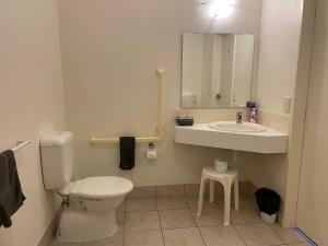 惠灵顿Ascot Motor Lodge的一间带卫生间和水槽的浴室