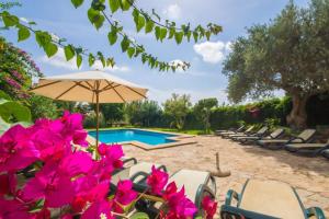 布格Ideal Property Mallorca - Can Nyany Buger的游泳池设有椅子和遮阳伞,鲜花粉红色