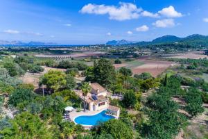 阿尔库迪亚Ideal Property Mallorca - Patufa的相册照片