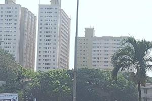 科伦坡Jays Apartment - Colombo 02 at the heart of convenience的棕榈树在一些高楼前