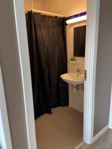 Faxe法克斯丹旅馆的浴室配有淋浴帘和盥洗盆。