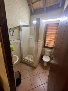 玛洛斯帕克Mopani Villa的带淋浴和卫生间的浴室