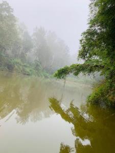 库斯哈尔纳加尔Dreams River view homestay coorg B的一条有树的雾中河流