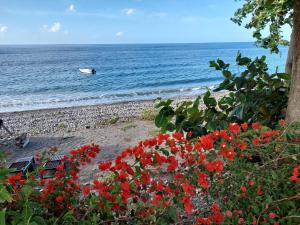 Saint-PierreVilla des Galets的一片种着红色花卉的海滩和一条水中的小船