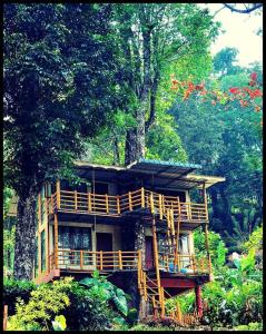 蒙纳Jungle Jive Tree House Munnar的相册照片