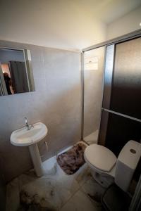 多拉杜斯Hotel Monte Carlo的浴室配有卫生间、盥洗盆和淋浴。