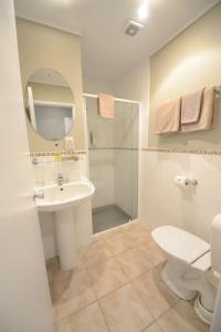 奥克兰萨伊汽车旅馆 - 格林兰奥克兰的浴室配有卫生间、盥洗盆和淋浴。