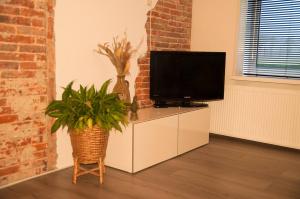 Ter ApelLandzicht 05的客厅,配有电视机,橱柜上放着植物