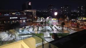 圣地亚哥Plaza Egaña sky的夜晚的城市景观