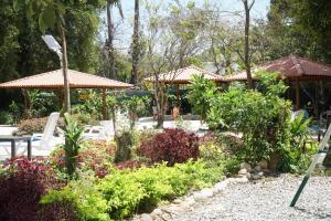埃尔巴列德安通El Valle Resort & Spa - Aguas Termales的花园配有白色的椅子、鲜花和遮阳伞